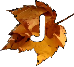 jesienny lisc1 - J-41.png