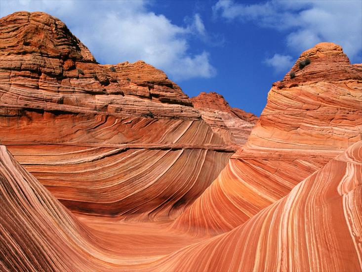 Arizona - The Wave, Paria Canyon-Vermilion Cliffs Wilderness Area, Arizona.jpg