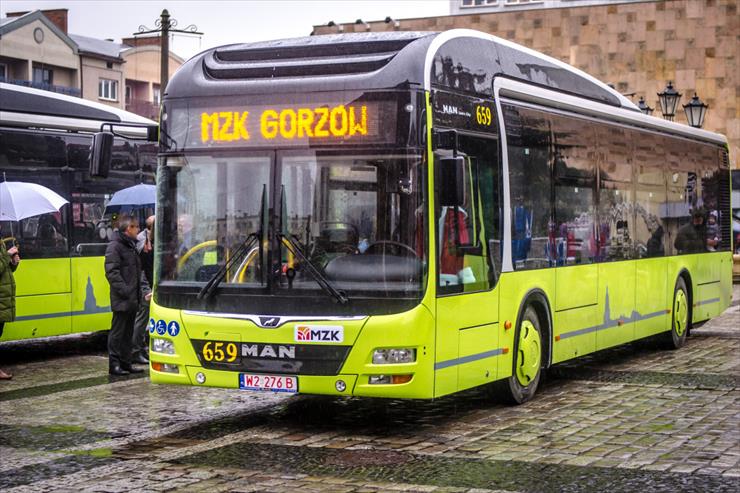 Autobusy miejskie - Gorzów Wielkopolski.jpg