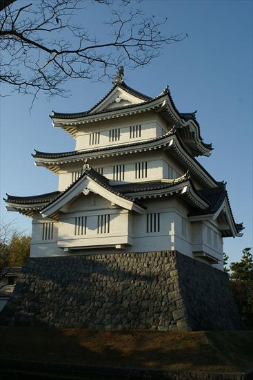 Japonia - zamek Oshi.jpg