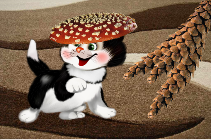 Tapety - Kot w kapeluszu  - seria - Muchomorski.png