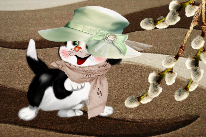 Tapety - Kot w kapeluszu  - seria - Tapeta  wiosenna.png